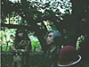 ARCH
