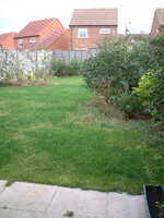  20041104-garden0411_1.JPG 