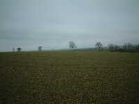  20041111-garden0411_4_field.JPG 