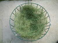  20041117-garden0411_5_basket1.JPG 