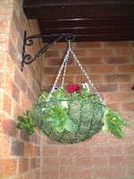  20041117-garden0411_9_basket5.JPG 
