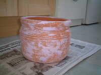  20041129-garden0411_11_painted_pot.JPG 