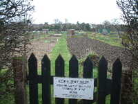  20050203-allotment2.JPG 