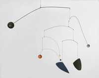  20110119-calder_mobile.jpg 
