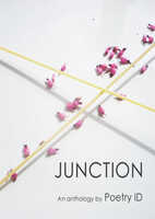  20130803-130813_junction.jpg 
