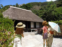  20080815-a2.jpg 