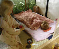  20080829-a3.jpg 