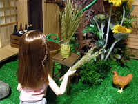 20080912-a4.jpg 