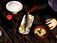  20081128-sa.jpg 