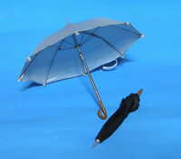  20120212-k1.jpg 