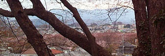 ARCH