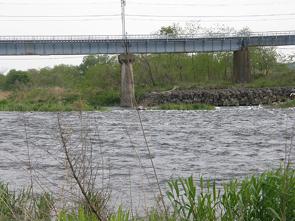 ARCH