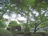  07-6-26meguro2.jpg 