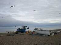  20071108-071104_aldeburghbeach.jpg 