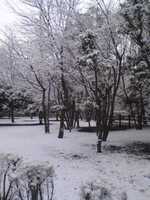  snow370164.jpg 