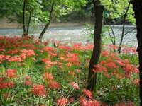  20111002-P1030516.JPG 