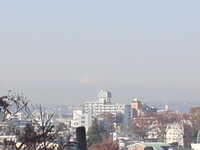  20111215-SN3P0265.JPG 