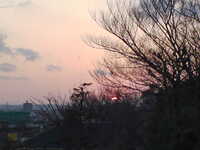  20120405-SN3P0356.JPG 