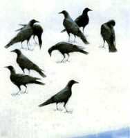  20121225-mizore001.jpg 