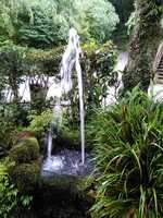  20190616-IMG_20190608_135017s.jpg 