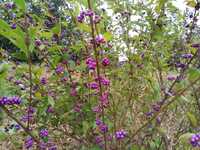  20191009-IMG_20191006_152553s.jpg 
