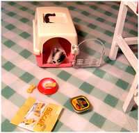  20060408-p5.jpg 