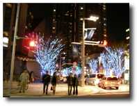  20041107-roppongi.jpg 