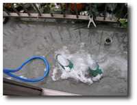  20050225-05_2_25b.jpg 