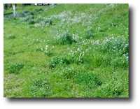  20050418-05_4_14a.png 