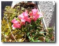  20070314-07_03_14a.jpg 