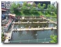  20070503-07_05_03a.jpg 