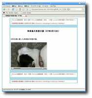  20070813-07_08_13a.jpg 