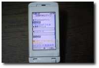  20110114-11_01_14a.jpg 