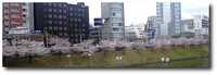  20110411-11_04_11a.jpg 