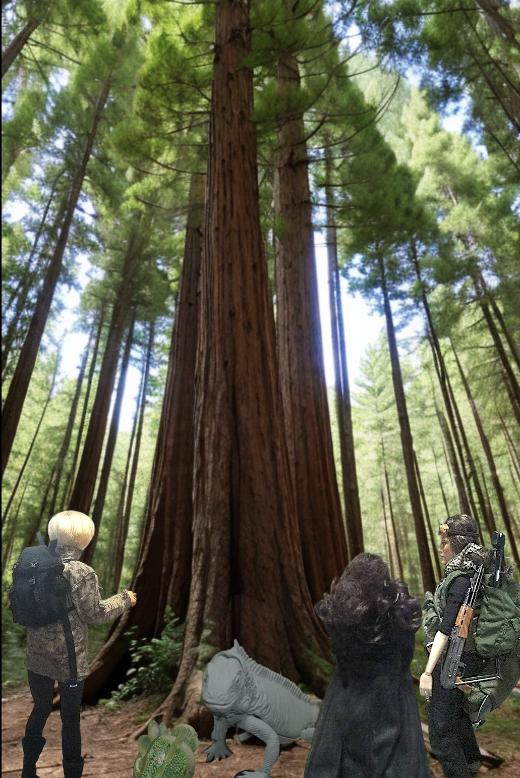 a2