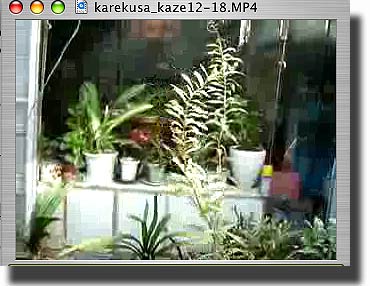 karekusa_kaze12-18